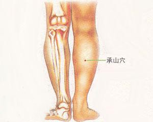 人体穴位：承山穴