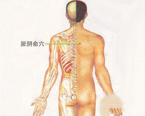 人体穴位：厥阴俞穴