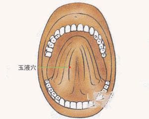 人体穴位：玉液穴